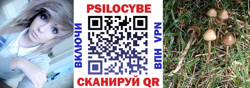 Галлюциногенные грибы GOLDEN TEACHER  Починок 